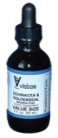 Echinacea/Goldenseal Liquid -AF 2 fl. oz.